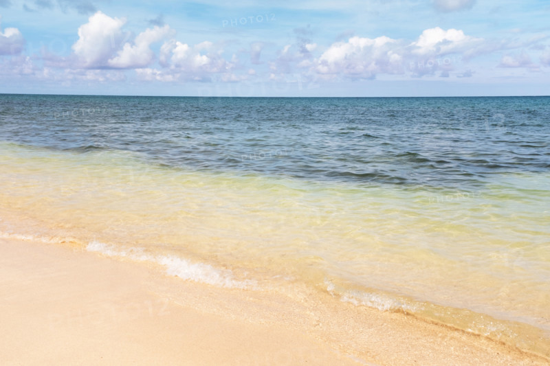 Calm sea waves on sandy beach
Rose Hall, Montego Bay, Jamaica