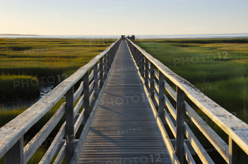 Empty boardwalk at Grays Beach
Yarmouthport, Cape Cod, Massachusetts, USA