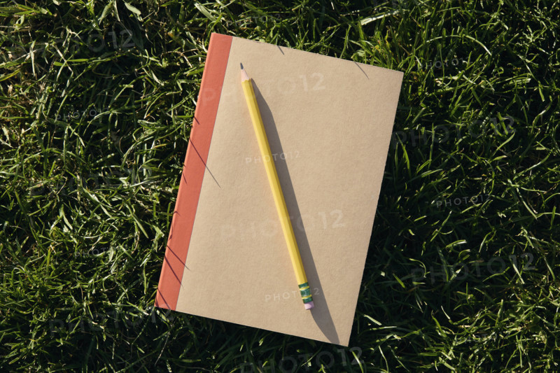 Overhead view of pencil and notebook on grass