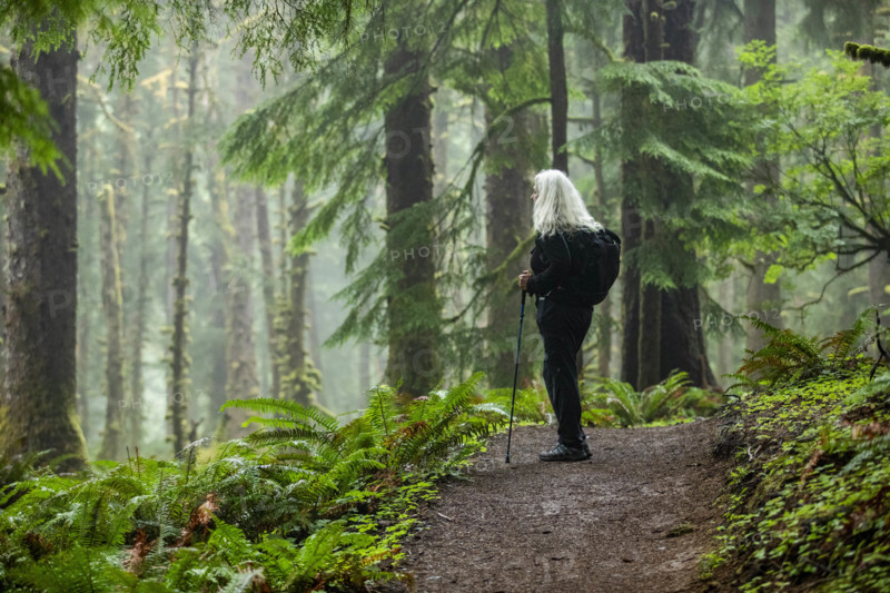 USA, Oregon, Cannon Beach, Senior female hiker on coastal trail through redwood forest