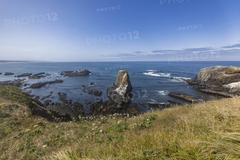 USA, Oregon, Newport, Rocks and wildflowers at Yaquina Head Outstanding Natural Area