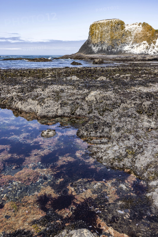 USA, Oregon, Newport, Rocky coast at Yaquina Head Outstanding Natural Area