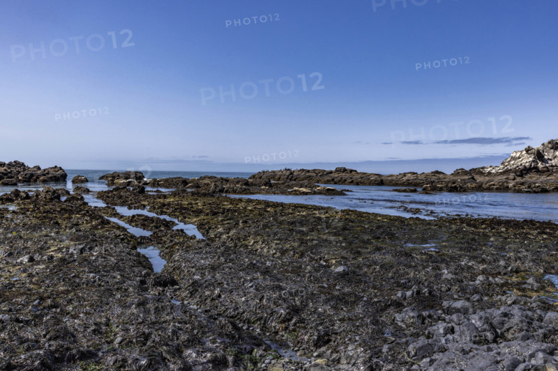 USA, Oregon, Newport, Rocky coast at Yaquina Head Outstanding Natural Area