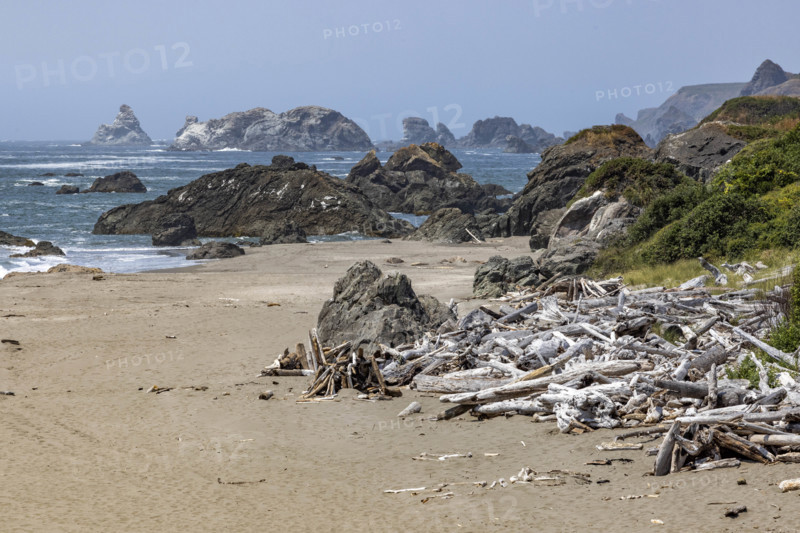 USA, Oregon, Brookings, Driftwood on empty rocky beach