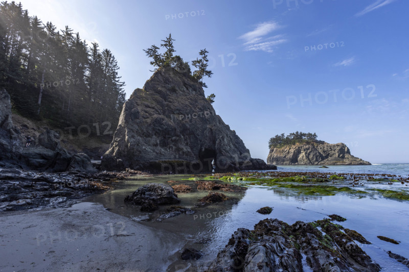 USA, Oregon, Brookings, Seascape at Secret Beach on Oregon Coast