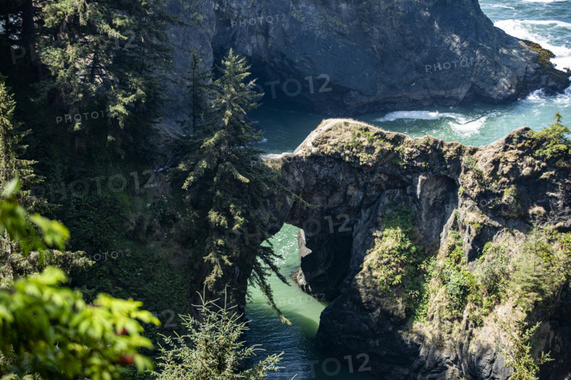USA, Oregon, Brookings, Natural Bridges formation on Oregon Coast