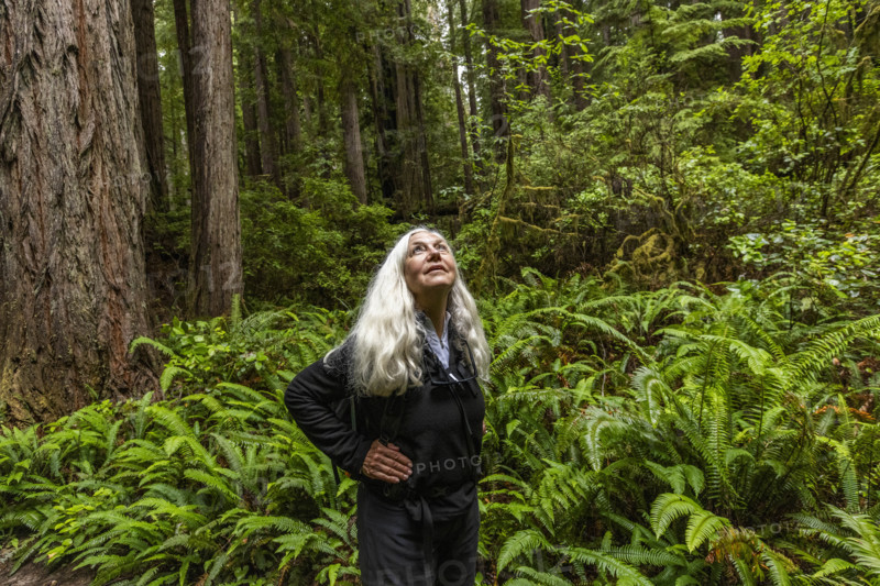 USA, California, Crescent City, Female hiker looking up in redwood forest