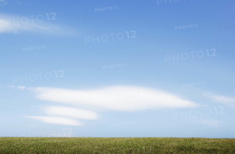 Field of grass and blue sky