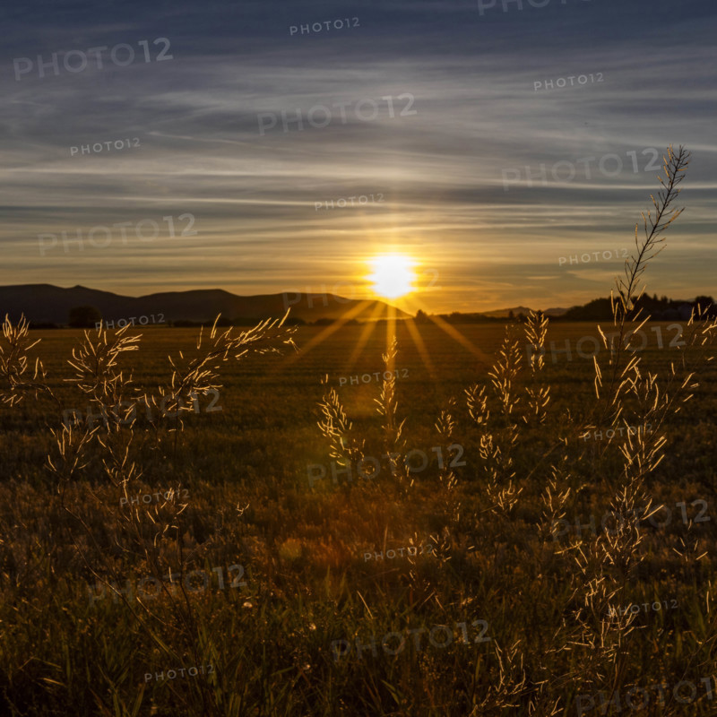 USA, Idaho, Bellevue, Setting sun through wild grass