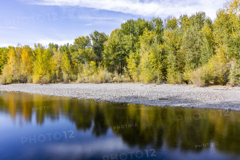 USA, Idaho, Bellevue, Calm river surface reflecting trees in autumn