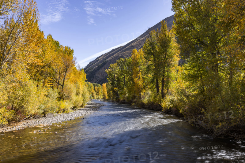USA, Idaho, Hailey, Big Wood River and trees with fall foliage