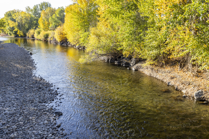 USA, Idaho, Bellevue, Big Wood River and trees with fall foliage