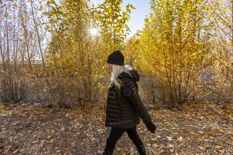 USA, Idaho, Bellevue, Woman walking in forest in autumn