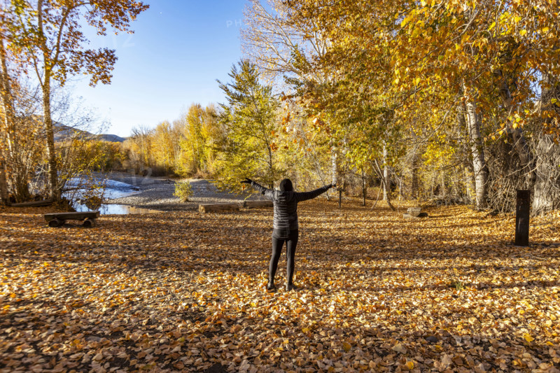 USA, Idaho, Bellevue, Rear view of woman standing with arms raised near Big Wood River in autumn