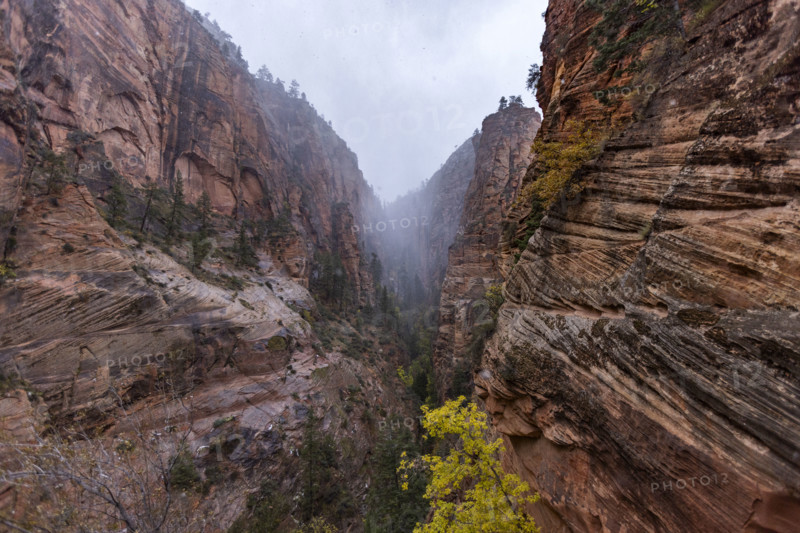 USA, Utah, Zion National Park, Zion Canyon rock formations in fog