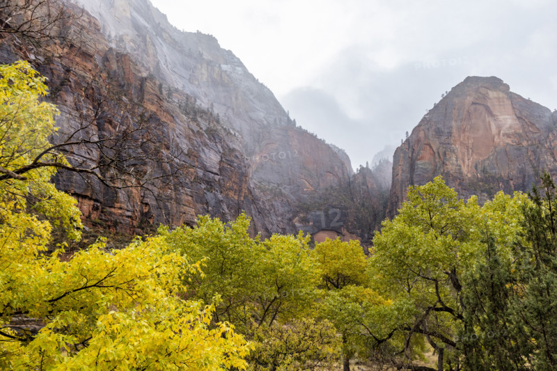 USA, Utah, Zion National Park, Trees and rock formations at Zion Canyon during snowstorm