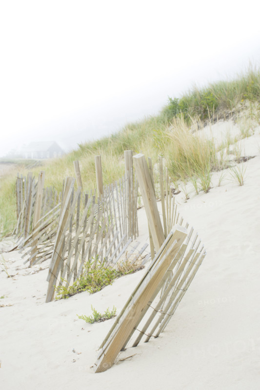 USA, Massachusetts, Nantucket, Sand fence and dune with grass