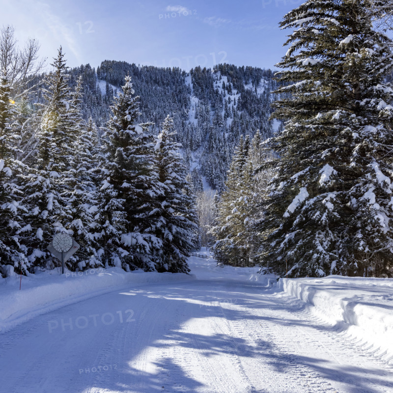 USA, Idaho, Sun Valley, Snow covered road and trees on sunny winter day