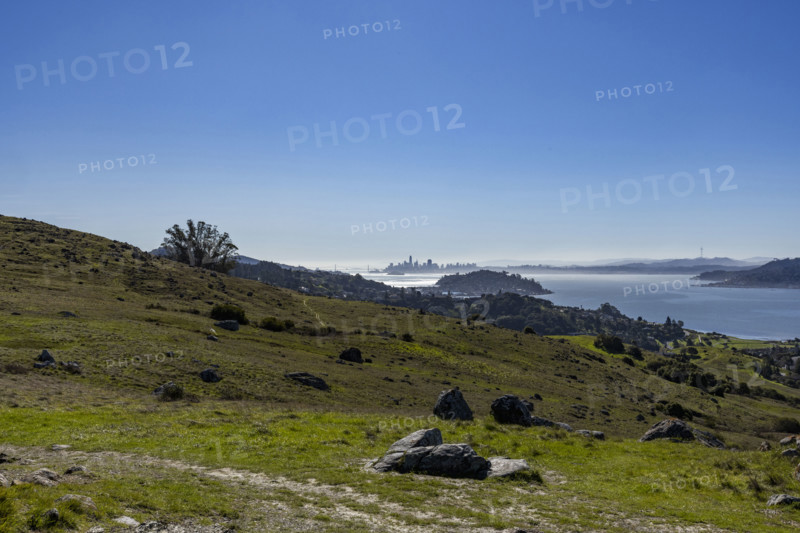 USA, California, Tiburon, San Francisco skyline from Ring Mountain