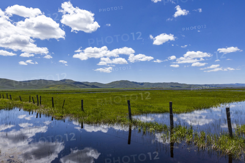 Camas Prairie wetlands in Spring. Fairfield, Idaho, USA.