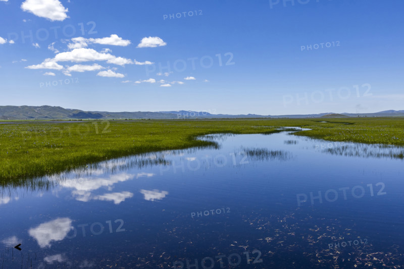 Camas Prairie wetlands in Spring. Fairfield, Idaho, USA.