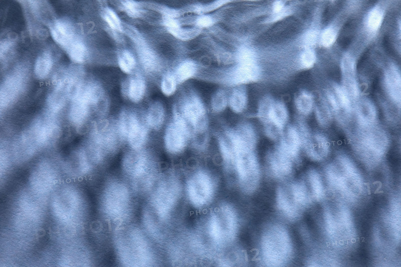Dappled light on blue background. New York City, New York State, USA.