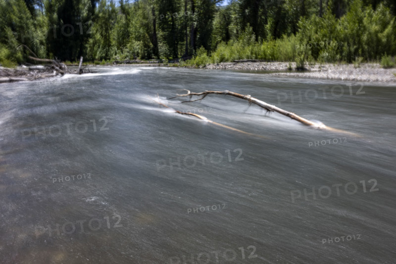 Bare branch in river, motion blurred. Bellevue, Idaho, USA.