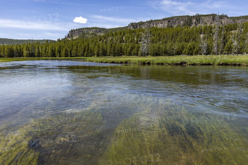 Firehole River calm water with aquatic plants. , Wyoming, USA.