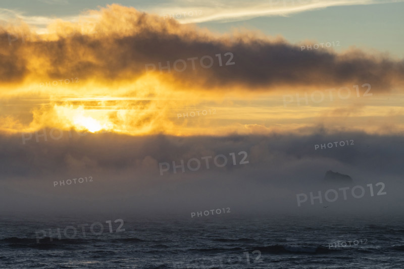 Sunset over fog bank covering sea. Cove Beach, Oregon, USA.