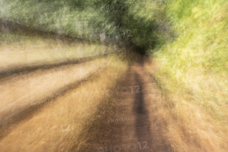 Rail fence along path to forest, motion blurred. Bellevue, Idaho, USA.
