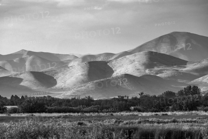 Fields and hills in late afternoon light, black and white. Bellevue, Idaho, USA.