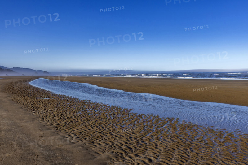 Cannon Beach at low tide. , Oregon, USA.