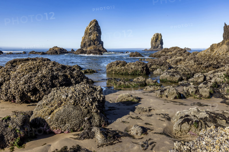 Cannon Beach rock formations at low tide. , Oregon, USA.