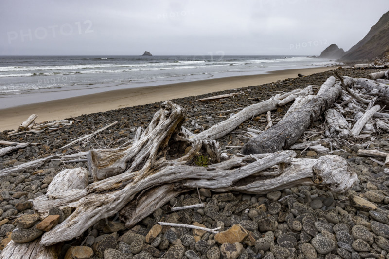 Driftwood and pebbles on empty beach. , Oregon, USA.