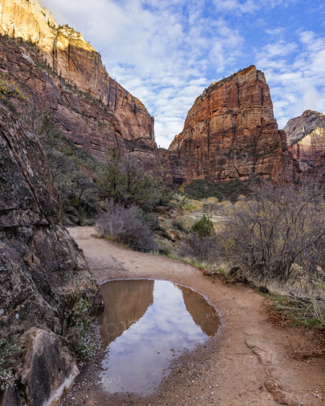 Rain puddle with Angels Landing rock formation in background. , Utah, USA.