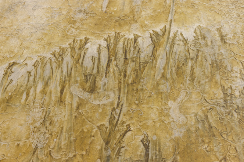 Abstract patterns on beach sand. , Guanacaste, Costa Rica.
