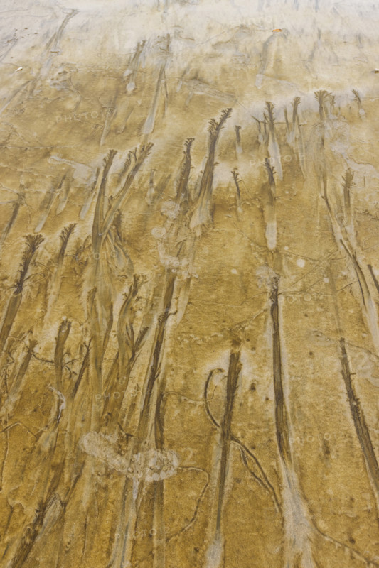 Abstract patterns on beach sand. , Guanacaste, Costa Rica.