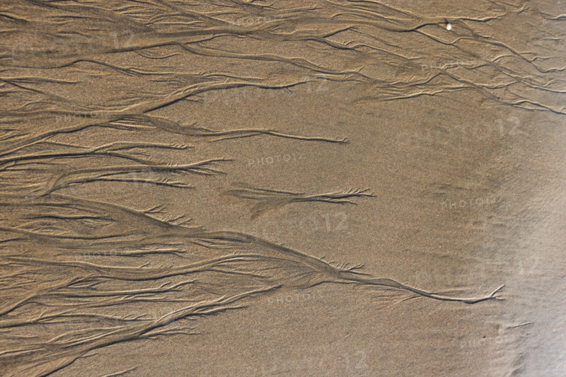 Abstract patterns on beach sand. , Guanacaste, Costa Rica.