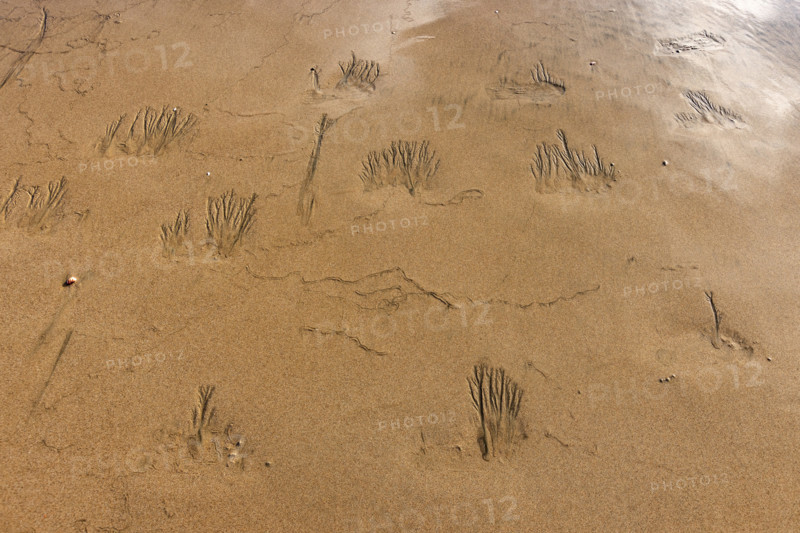 Abstract patterns on beach sand. , Guanacaste, Costa Rica.