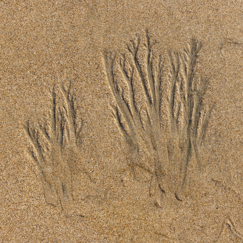 Abstract patterns on beach sand. , Guanacaste, Costa Rica.