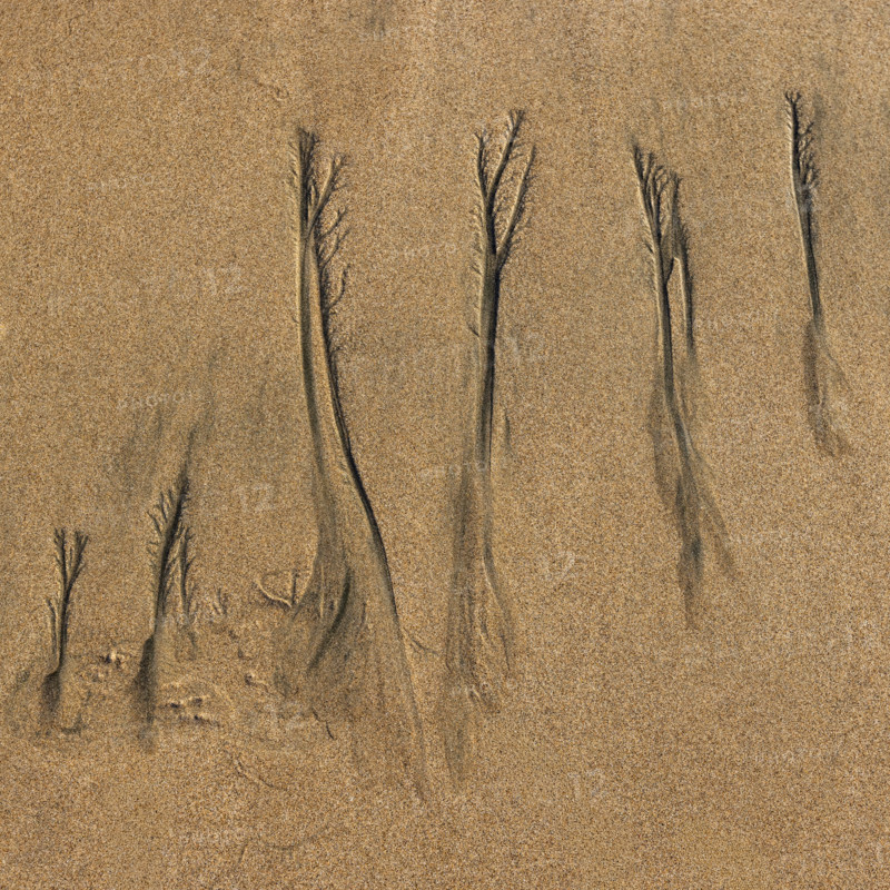 Abstract patterns on beach sand. , Guanacaste, Costa Rica.
