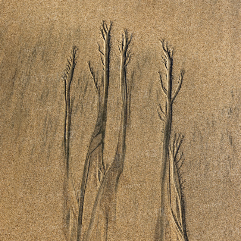 Abstract patterns on beach sand. , Guanacaste, Costa Rica.