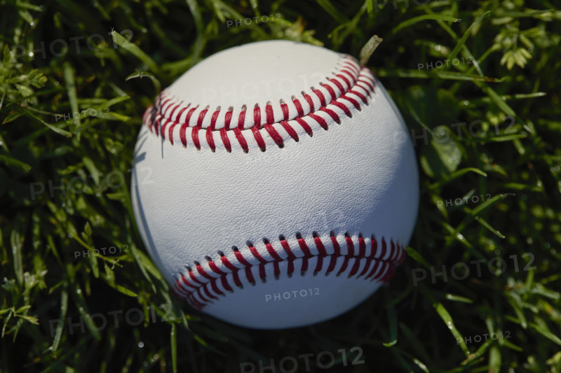 Close-up of baseball in grass. New York City, New York State, USA.