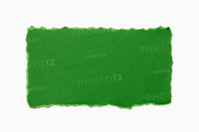 Green torn paper on white background. New York City, New York State, USA.