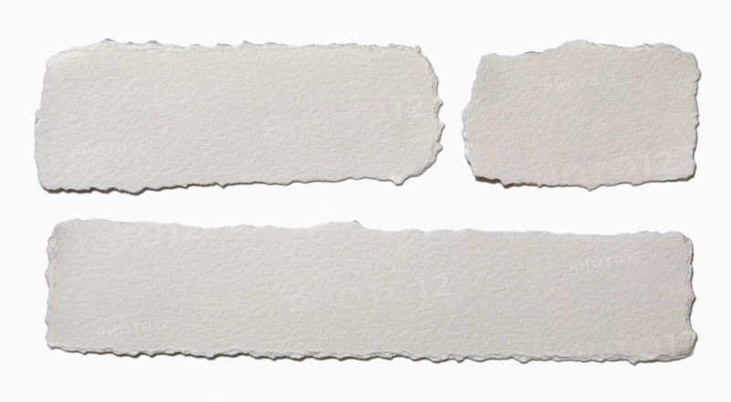 Pieces of torn paper on white background. New York City, New York State, USA.