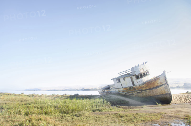 Tomales Bay Shipwreck on sunny day, Inverness, California, USA.