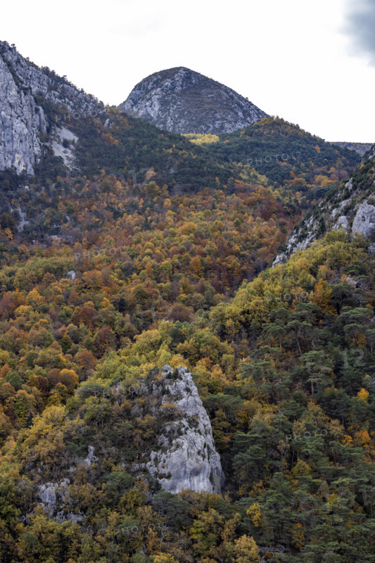 Gordes of Verdon rock formations and forest in Autumn, Gorges du Verdon, Provence, France.