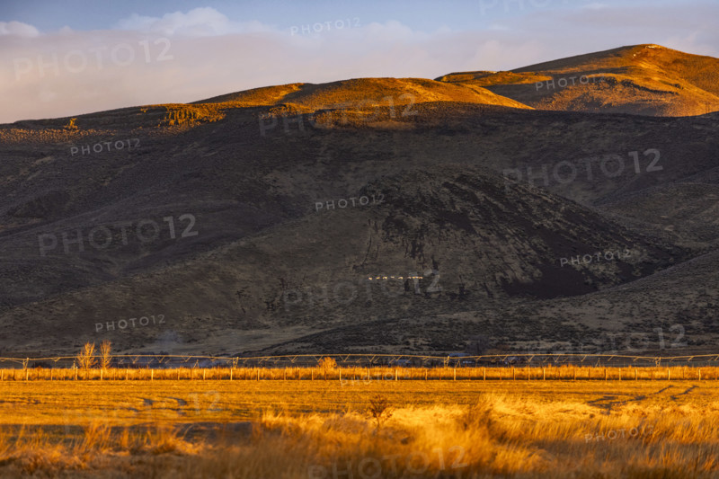 Fields and hills at sunset, Bellevue, Idaho, USA.