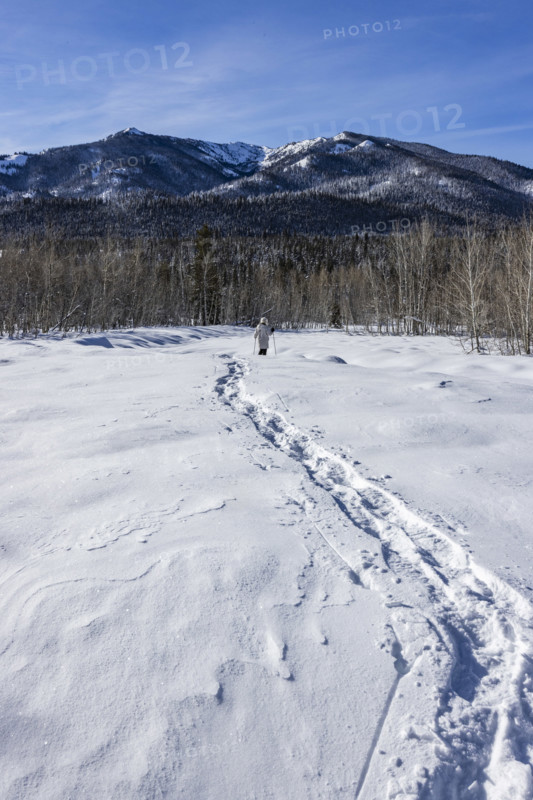 Rear view of woman snowshoeing in Winter landscape, Sun Valley, Idaho, USA.