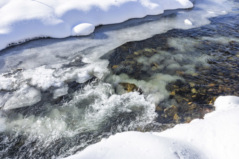 Close-up of ice forming in creek, Sun Valley, Idaho, USA.